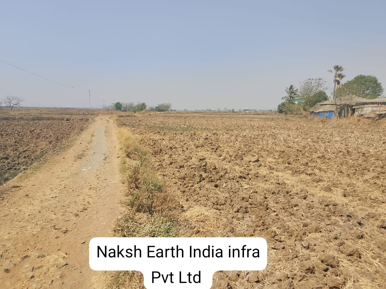 Land For Sale in Agricultural Plot And Non