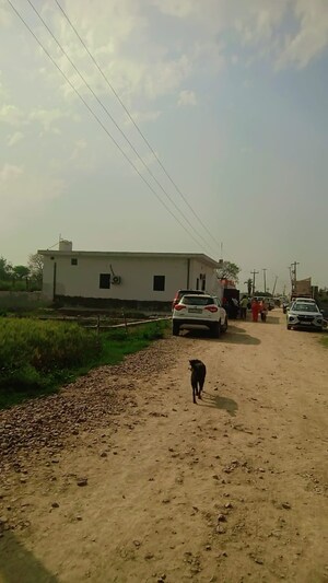  Plot – Exterior View View at Bhopani Village - for Sale
