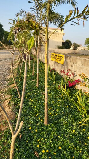  Plot For Sale in Ajmer Road