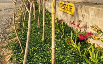 Plot For Sale in Ajmer Road