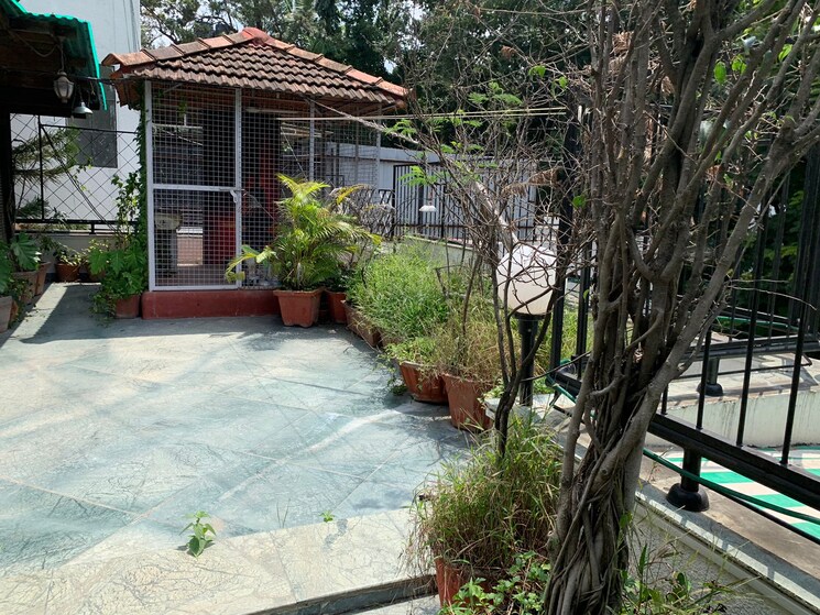 Exterior View, mit-olympus 4 Bedroom 3881 Sq.Ft. Apartment In Koregaon Park Pune 8406868