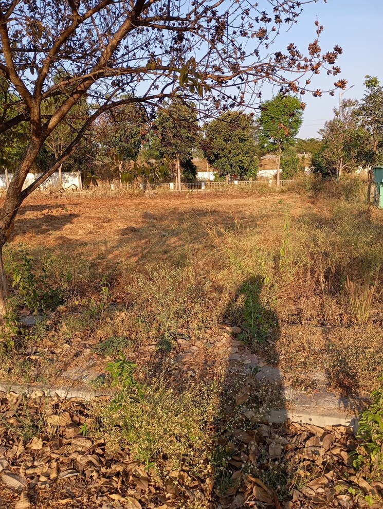 Exterior View, chandapura  1200 Sq.Yd. Plot In Chandapura Bangalore 8406999