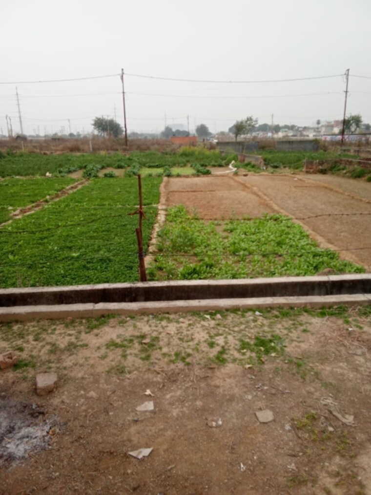 Garden, mathura cantonment  80 Sq.Yd. Plot In Mathura Cantonment Mathura 8406989