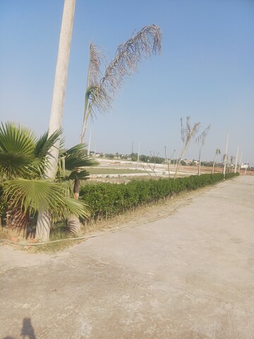  Plot – Exterior View View at Jewar - for Sale