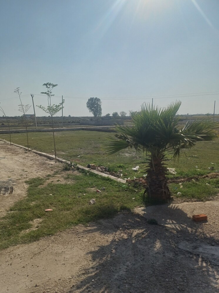 Garden, jewar  124 Sq.Yd. Plot In Jewar Greater Noida 8407162