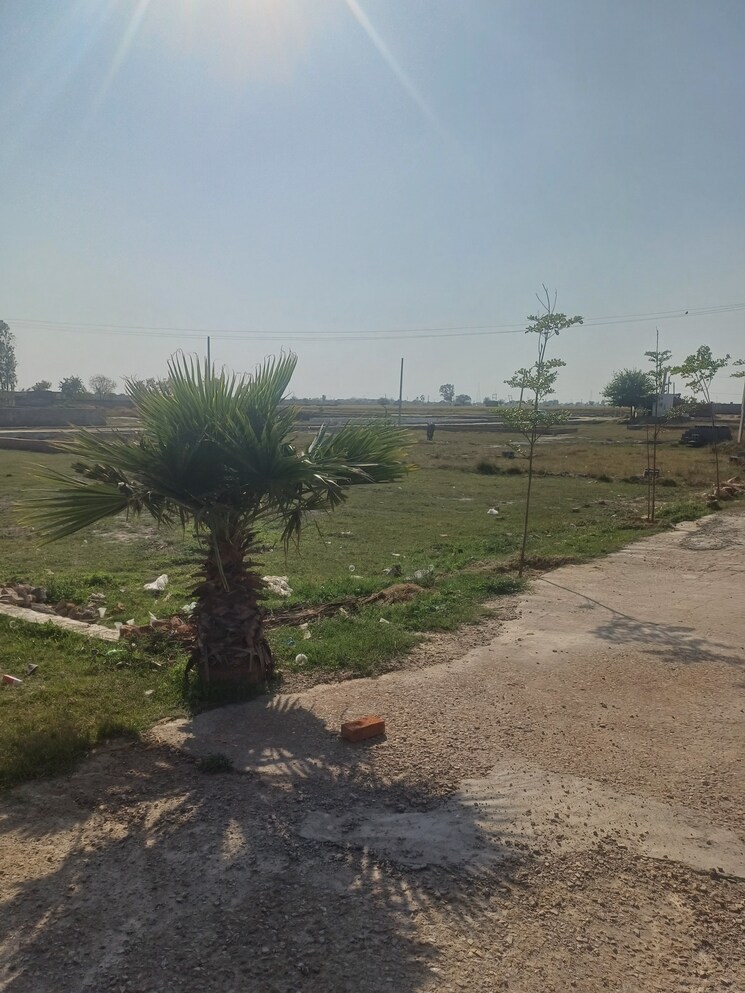 Garden, jewar  125 Sq.Yd. Plot In Jewar Greater Noida 8407195
