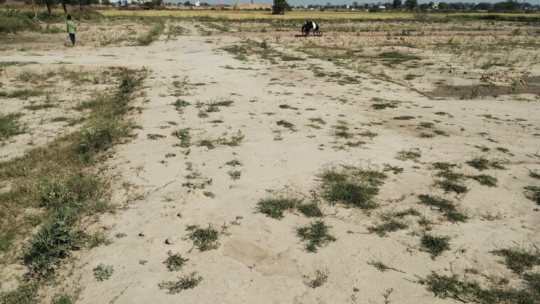 Exterior View, bamnikhera  260 Sq.Yd. Plot In Bamnikhera Palwal 8407438