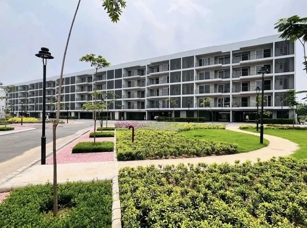 3 BHK Builder Floor For Sale in DLF Gardencity Enclave