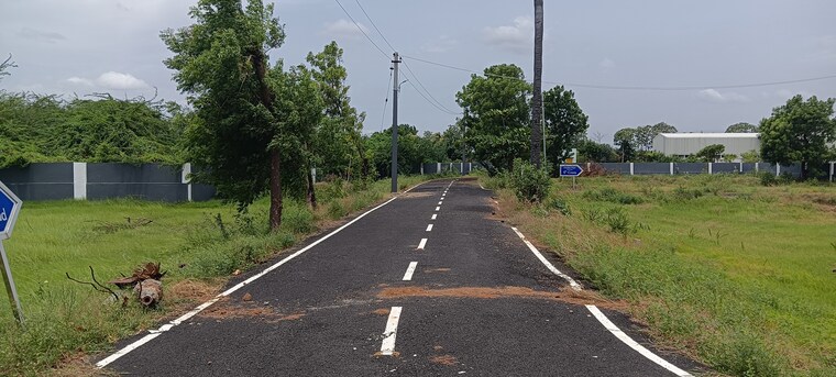 Garden, srinivasa nagar  1200 Sq.Ft. Plot In Srinivasa Nagar Trichy 8407843