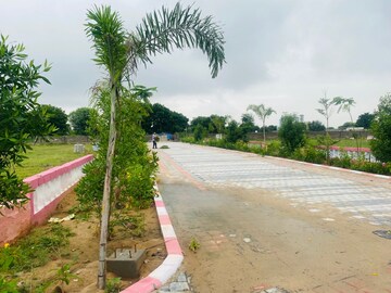  Plot For Sale in Sector 81
