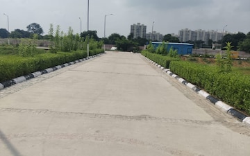 Plot For Sale in Sector 81