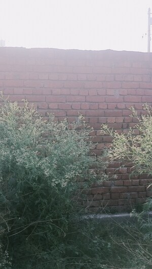  Plot For Sale in Modipuram