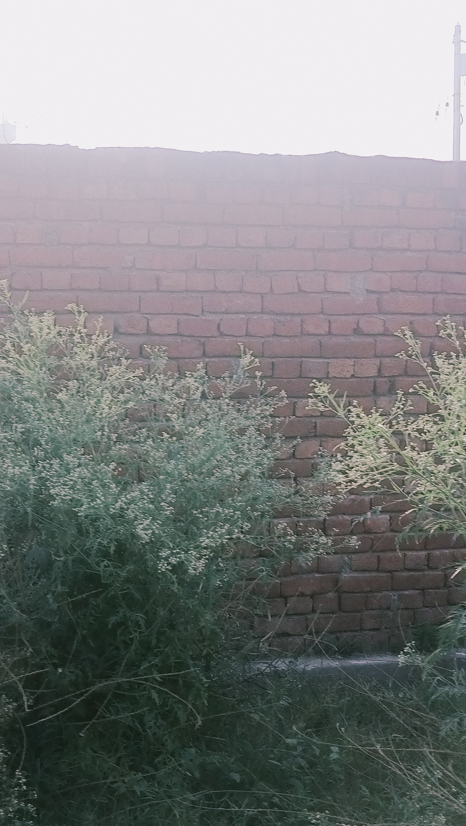 Plot For Sale in Madhur Vihar