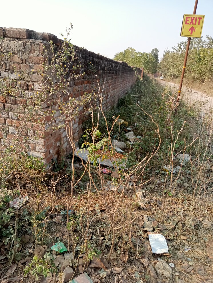 Exterior View, sainik farm  5400 Sq.Ft. Plot In Sainik Farm Delhi 8408728