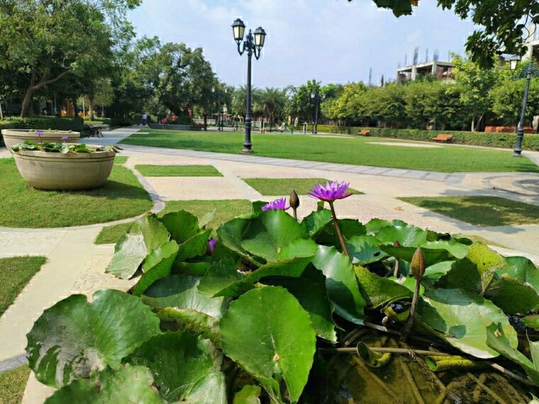 Garden, omaxe-metro-city  194 Sq.Yd. Plot In Kalli Paschim Lucknow 8408742