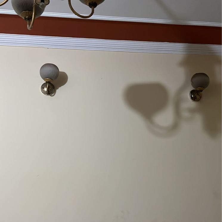 undefined, alpha ii greater noida 1.5 Bedroom 60 Sq.Mt. Builder Floor In Alpha Ii Greater Noida Greater Noida 8408751