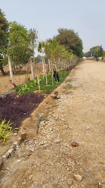  Plot – Exterior View View at Ajmer Road - for Sale