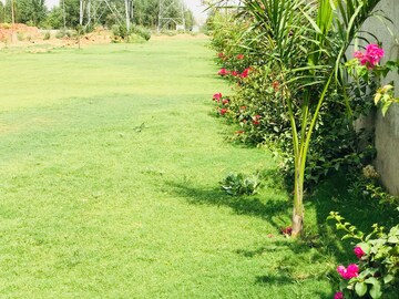 3 BHK Builder Floor – Garden View at Sector 113 - for Sale