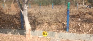  Plot – Exterior View View at Ferns Aspen Heights, Boyalahalli - for Sale