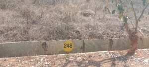  Plot – Exterior View View at Ferns Aspen Heights, Boyalahalli - for Sale