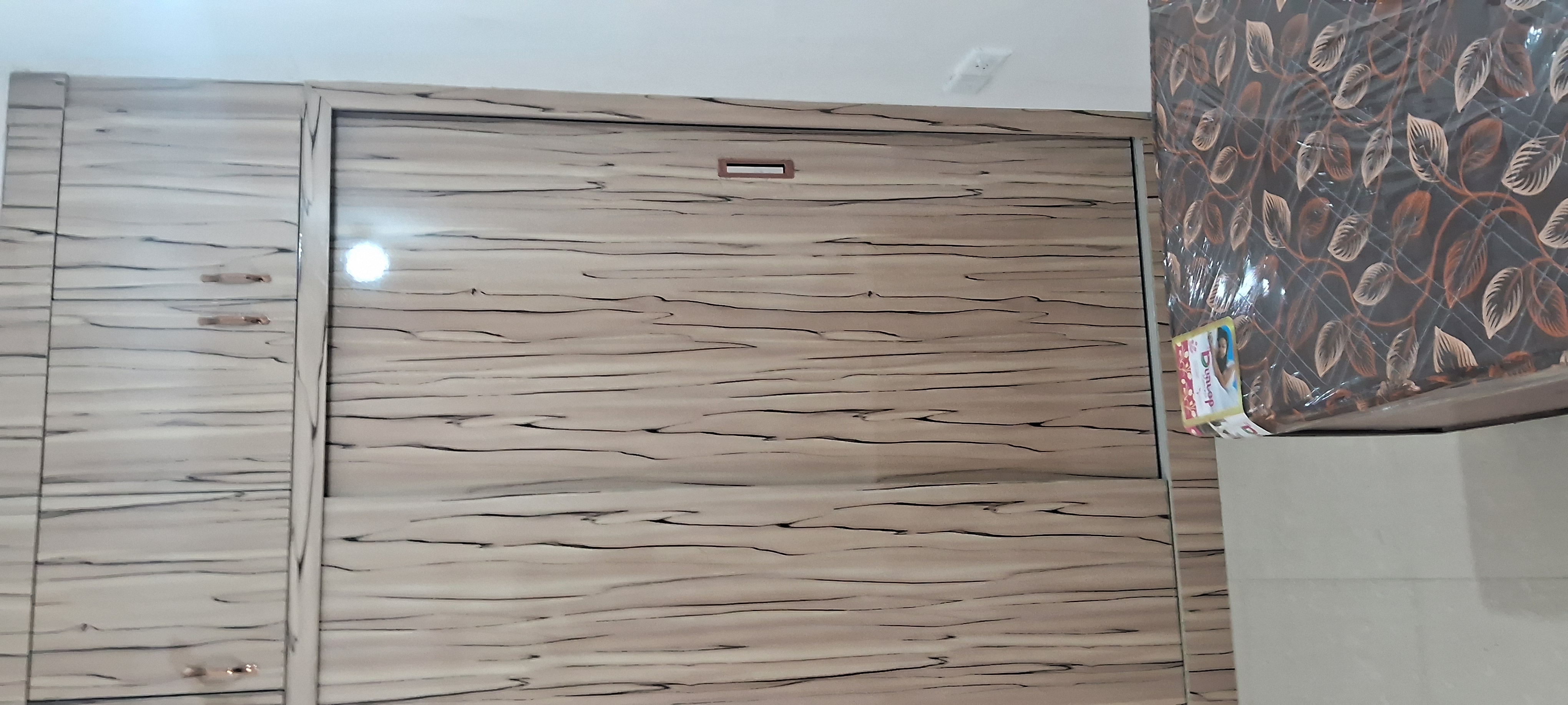 2 BHK Apartment For Sale in Zara Rossa