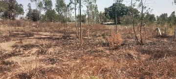  Plot – Exterior View View at Srirampura - for Sale
