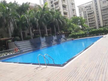 Swimming Pool in 3 BHK Apartment at SS Hibiscus 2, Sector 50 – for Rent