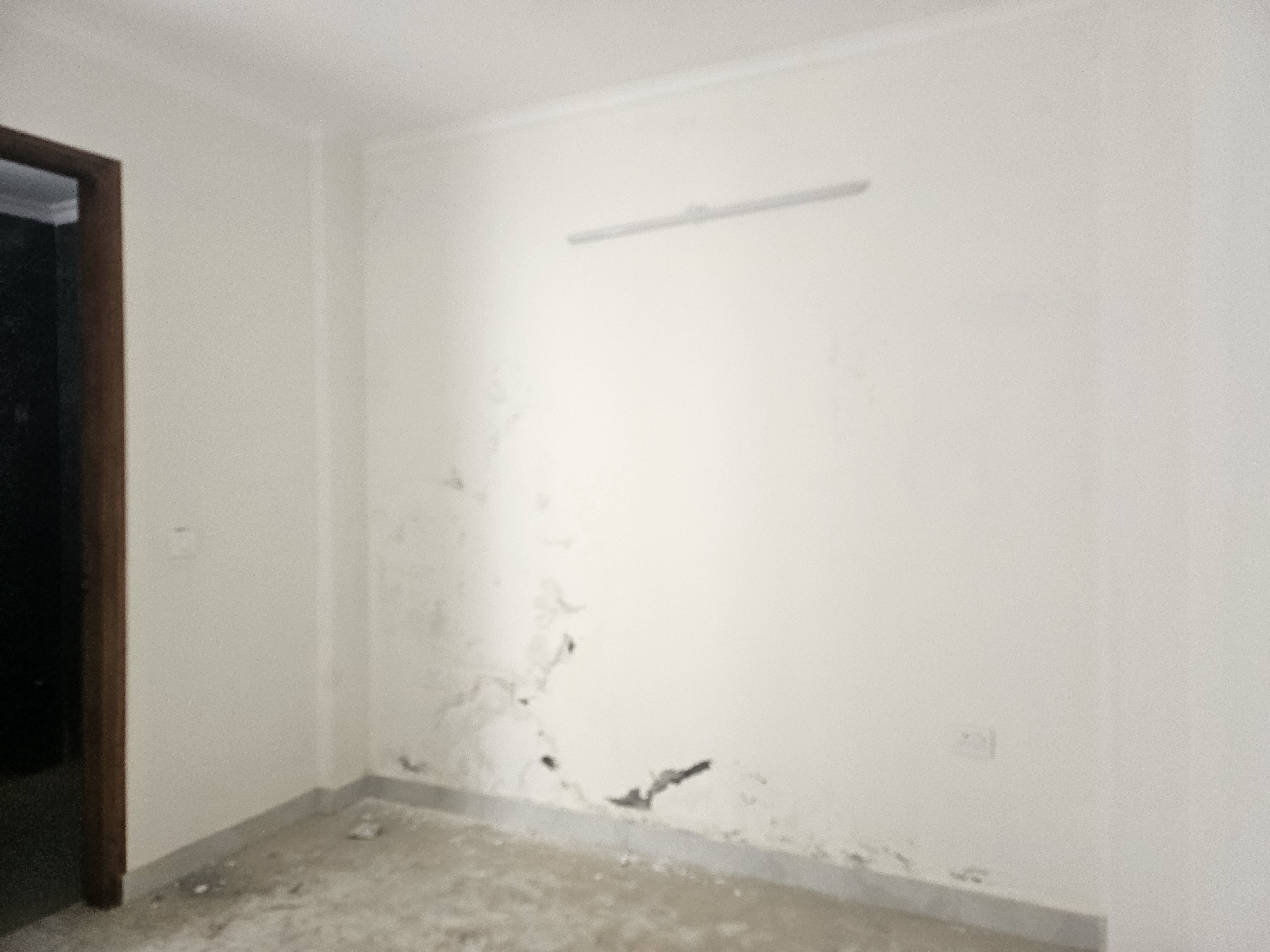 2 BHK Builder Floor For Sale in Sector 49