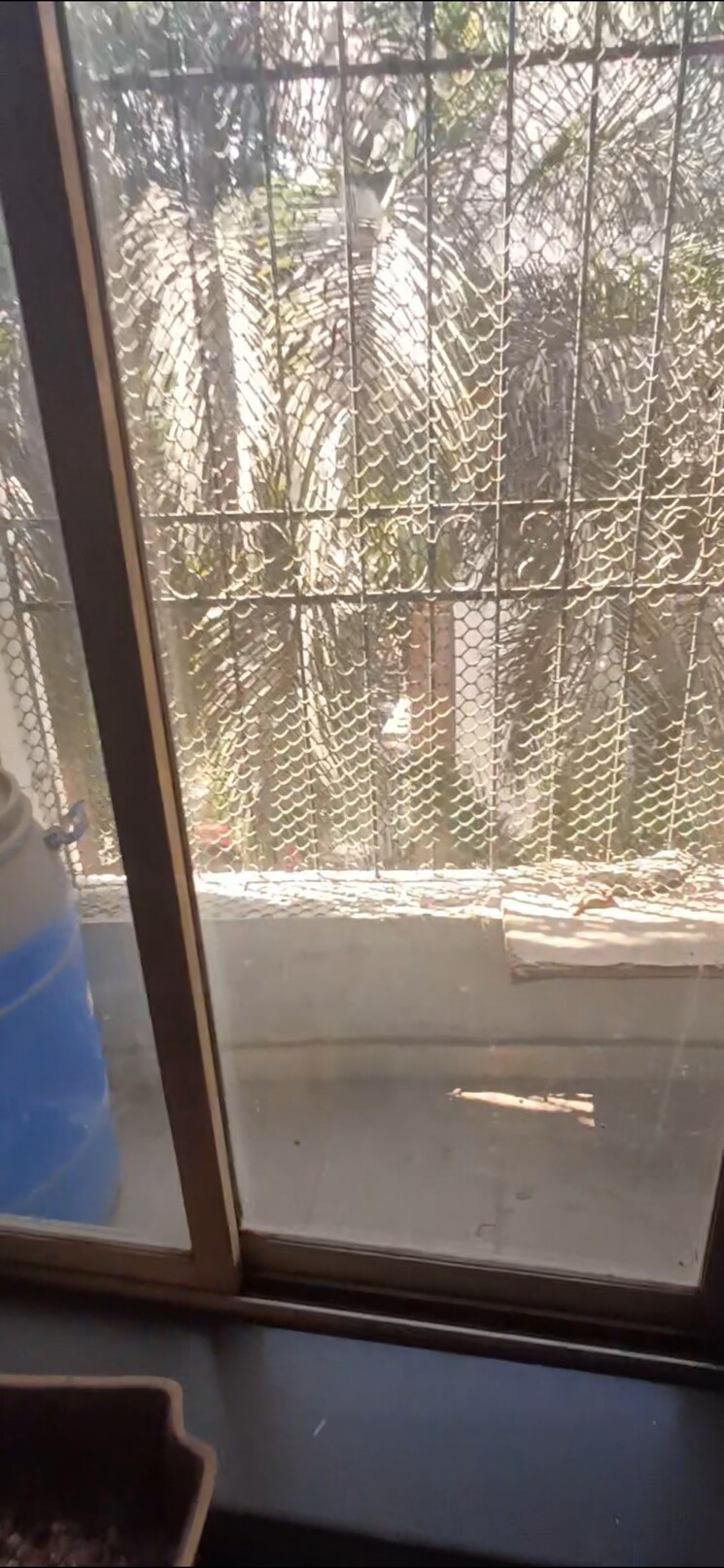 Balcony, k-d-empire 1 Bedroom 600 Sq.Ft. Apartment In Mira Road Thane 8410151