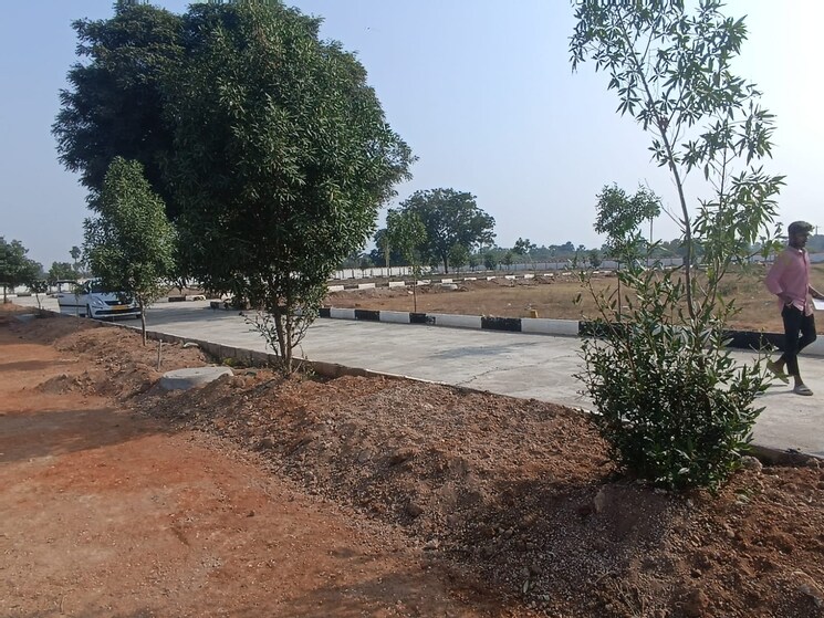 Exterior View, shadnagar  165 Sq.Yd. Plot In Shadnagar Hyderabad 8410154