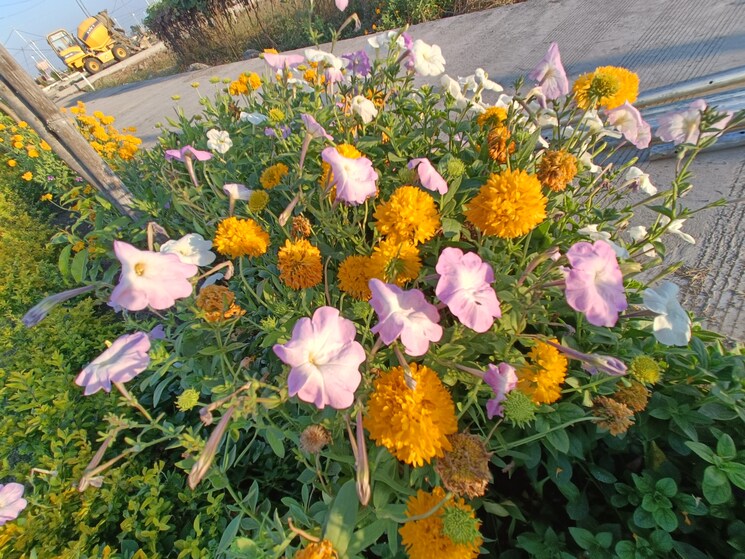 Exterior View, ringnodiya  600 Sq.Ft. Plot In Ringnodiya Indore 8410301