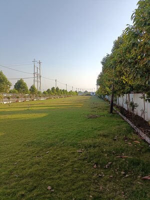  Plot For Sale in Ringnodiya