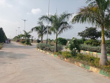  Plot For Sale in Sector 77