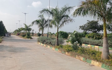 Plot For Sale in Sector 77