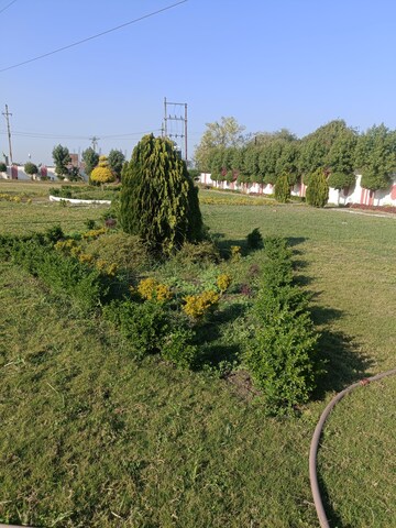  Plot – Garden View at Ringnodiya - for Sale