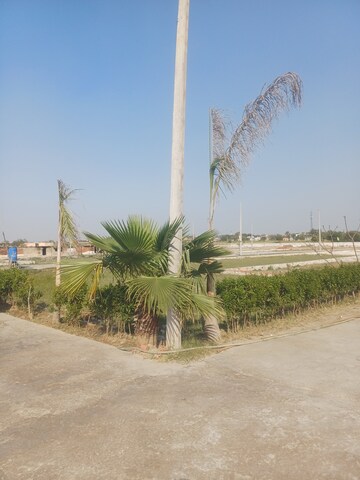  Plot – Exterior View View at Jewar - for Sale