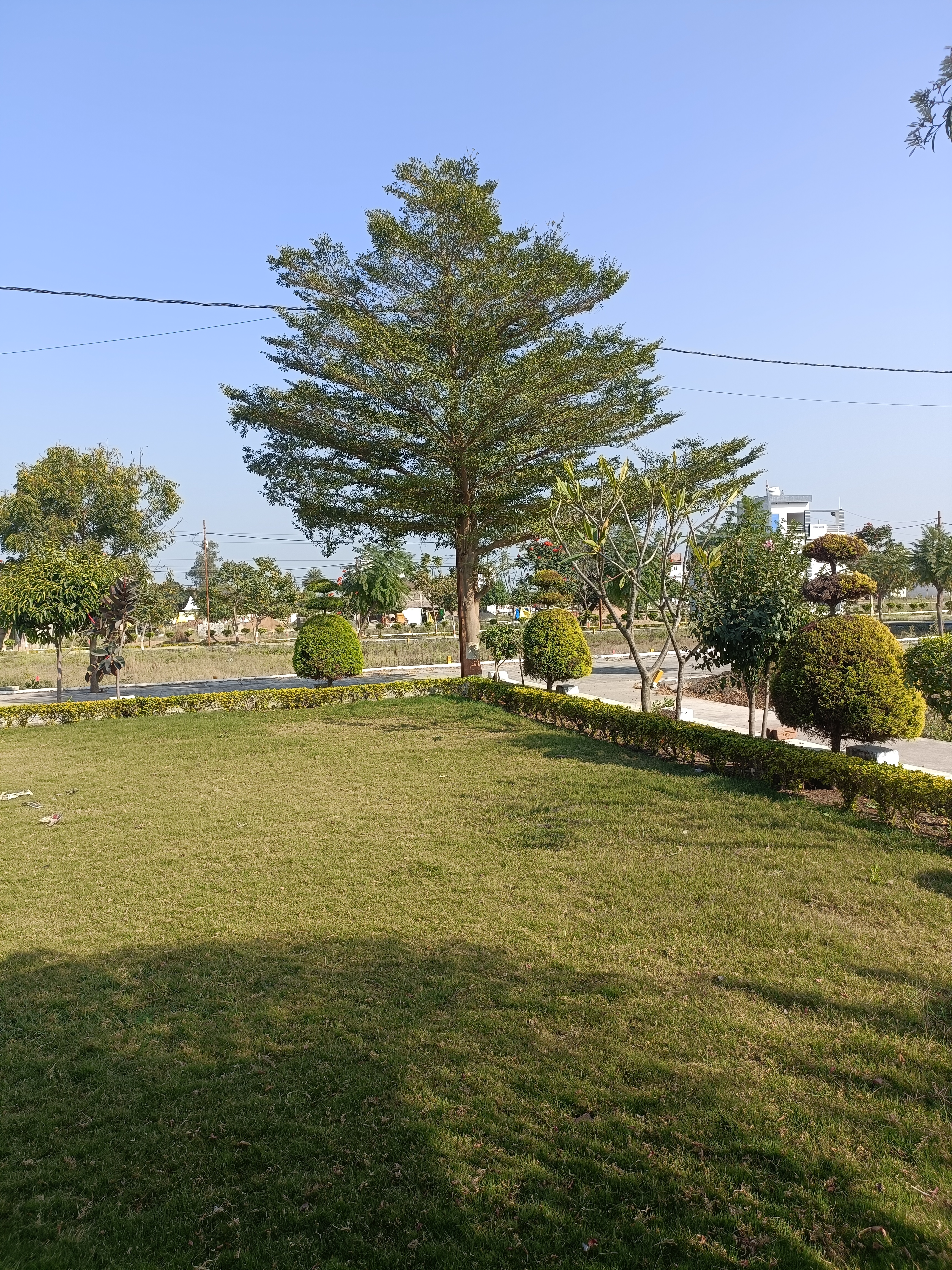 Plot For Sale in New Project Town 