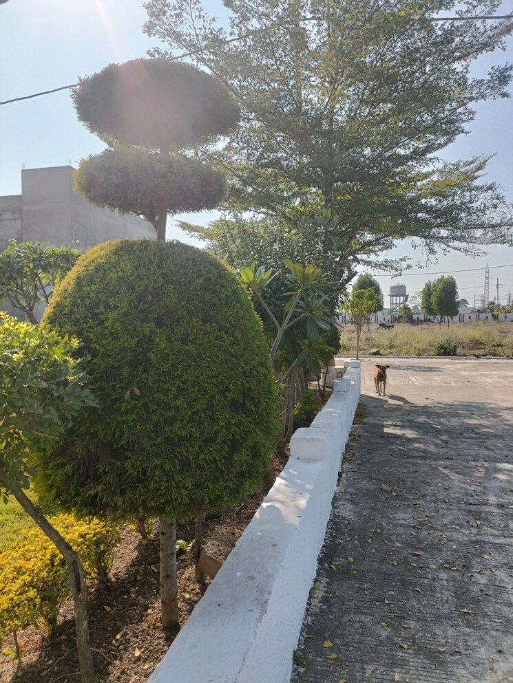 Garden, ringnodiya  1500 Sq.Ft. Plot In Ringnodiya Indore 8410788