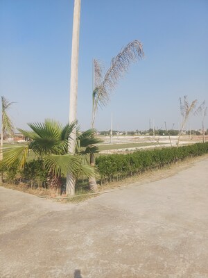  Plot For Sale in Jewar