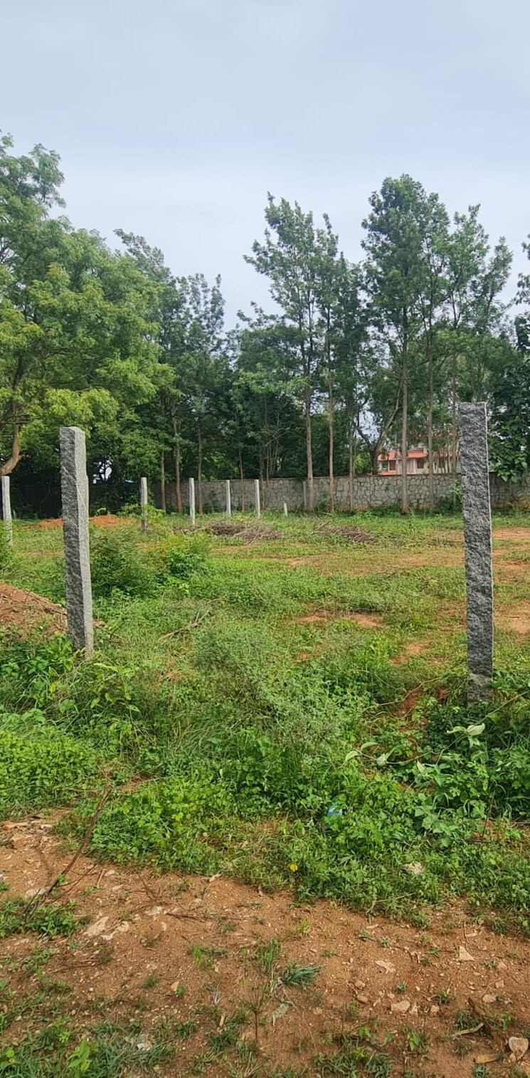 Garden, silver-oak-resort  5738 Sq.Ft. Plot In Rajanukunte Bangalore 8410821