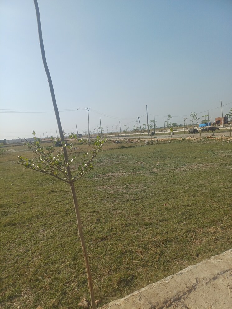 Exterior View, jewar  139 Sq.Yd. Plot In Jewar Greater Noida 8410887