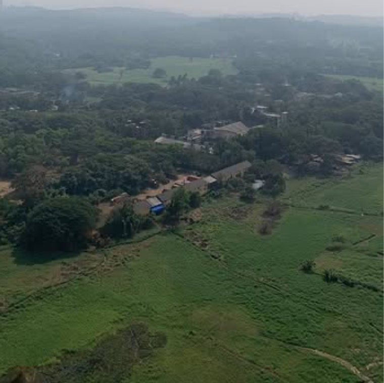 Exterior View, oberoi-realty-esquire 3 Bedroom 1366 Sq.Ft. Apartment In Gokuldham Colony Mumbai 8411960