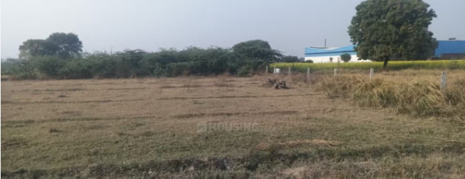 Plot For Sale in Ankur Enclave Paschim Vih
