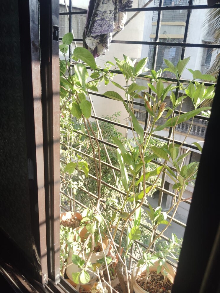 Exterior View, sector 16 vashi 1.5 Bedroom 685 Sq.Ft. Apartment In Sector 16 Vashi Navi Mumbai 8412032