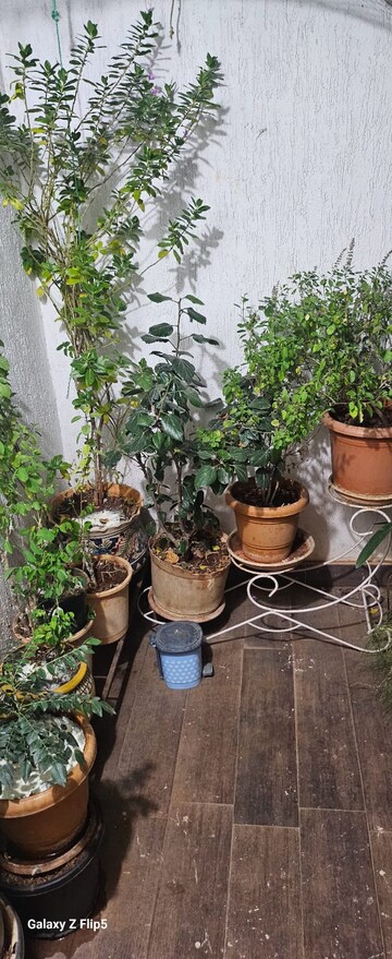 Plot Area in 3 BHK Apartment at Kalpataru Parkcity, Kolshet Road – for Sale