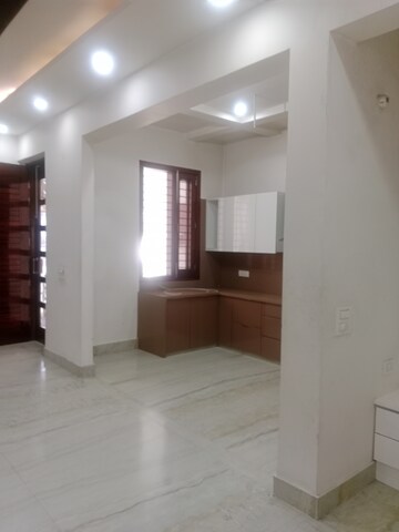 Living Room in 2 BHK Builder Floor at Sector 13 – for Rent