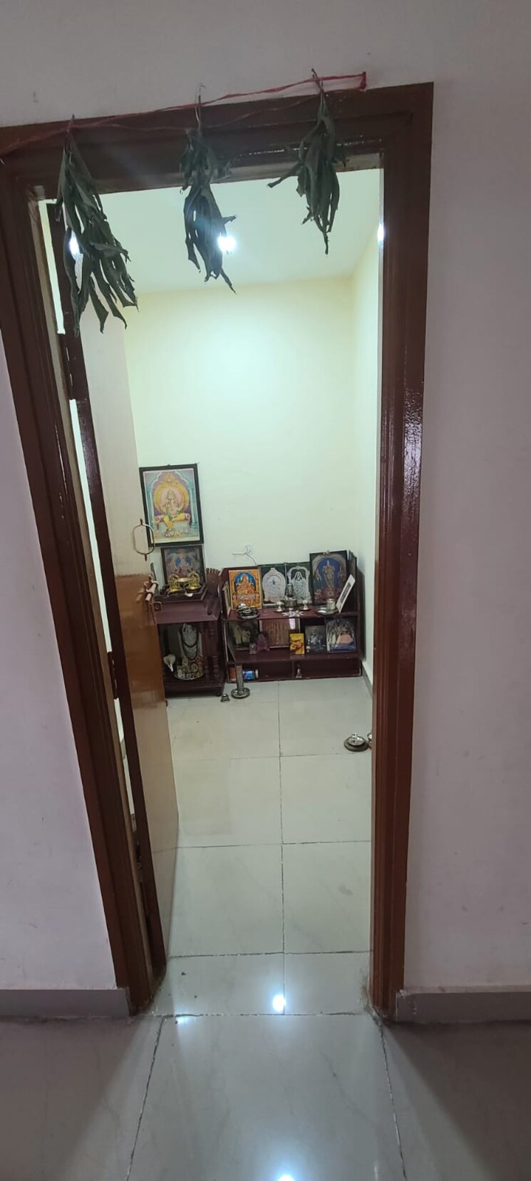 undefined, sector 55 4 Bedroom 117 Sq.Mt. Independent House In Sector 55 Noida 8414022