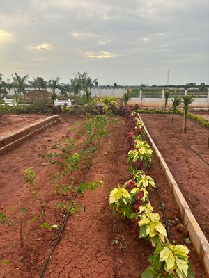  Plot – Exterior View View at Sri Bhumi Eeshaanya, Kankipadu - for Sale