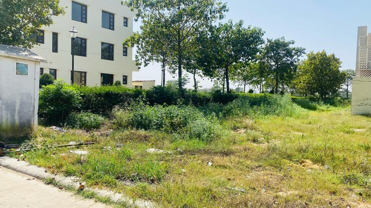 Exterior View, omaxe-new-chandigarh  300 Sq.Yd. Plot In North Mullanpur Chandigarh 8414973