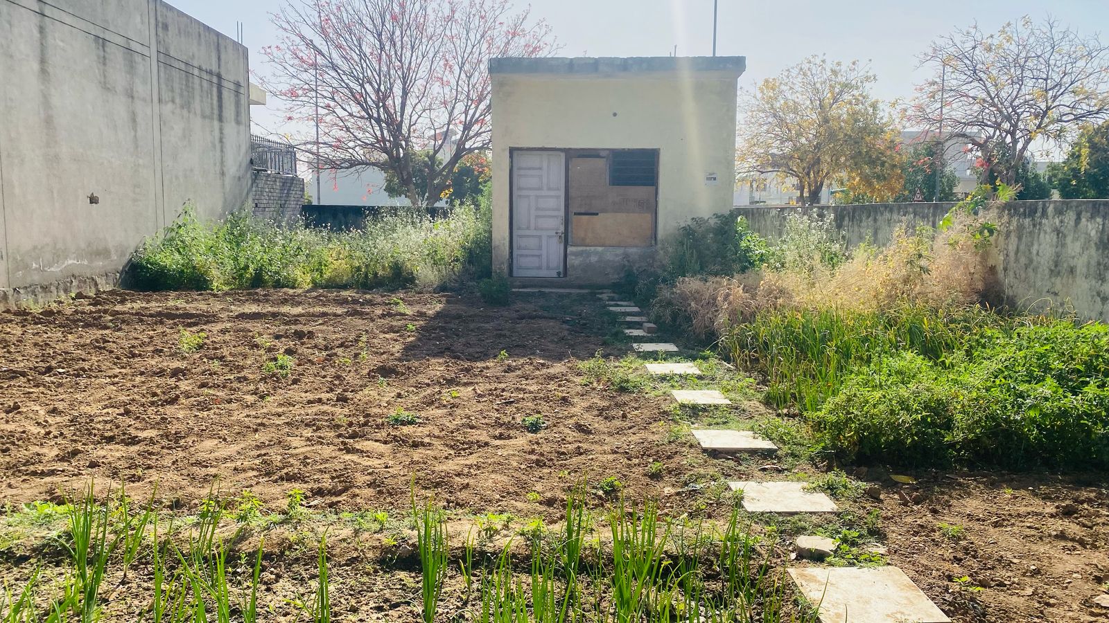 Plot For Sale in GMADA Eco City